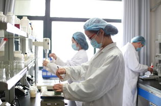 御泥坊工廠獲高新技術企業認定，技術服務驅動行業創新